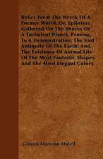 Relics From The Wreck Of A Former World, Or, Splinters Gathered On The Shores Of A Turbulent Planet. Proving, To A Demonstration, The Vast Antiquity Of The Earth; And, The Existence Of Animal Life-Of The Most Fantastic Shapes, And The Most Elegant Colors