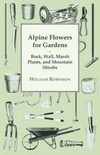 Alpine Flowers For Gardens - Rock, Wall, Marsh Plants, And Mountain Shrubs