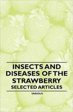 Insects and Diseases of the Strawberry - Selected Articles