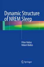 Dynamic Structure of NREM Sleep