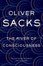 The River of Consciousness