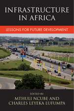 Infrastructure in Africa: Lessons for Future Development