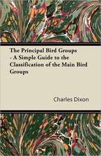 The Principal Bird Groups - A Simple Guide to the Classification of the Main Bird Groups