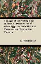 The Eggs of the Nesting Birds of Britain - Descriptions of White Eggs, the Birds that Lay them and the Nests to Find them in