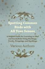 Spotting Common Birds with All Your Senses - A Helpful Guide for Learning to Find and Track Birds Using Markings, Tracks, Droppings and Dwellings