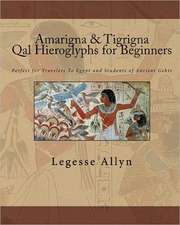 Amarigna & Tigrigna Qal Hieroglyphs for Beginners: Perfect for Travelers to Egypt and Students of Ancient Gebts