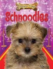 Schnoodles