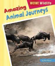 Amazing Animal Journeys