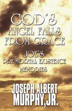 God's Angel Falls from Grace: Joe's Pre Mortal Existence Memories