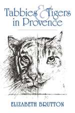 Tabbies and Tigers in Provence