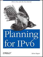 Planning for IPv6