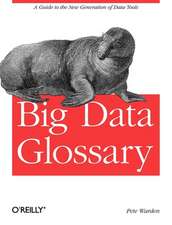 Big Data Glossary