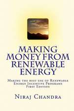 Making Money from Renewable Energy: Making the Best Use of Renewable Energy Incentive Programs