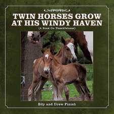 Twin Horses Grow at His Windy Haven