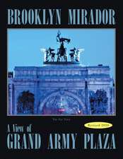 The Brooklyn Mirador