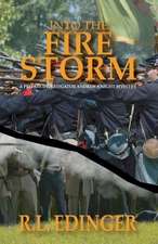 Into the Fire Storm: A Private Investigator Andrew Knight Mystery