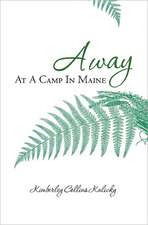 Away at a Camp in Maine: Variations on a Theme by Plotinus