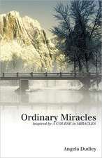 Ordinary Miracles