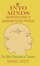 Into Minds-An Introduction to Quantum Psyche Process