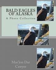 Bald Eagles of Alaska