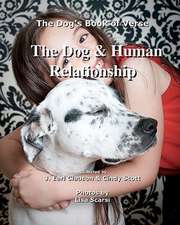 The Dog & Human Relationship