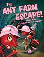 The Ant Farm Escape!