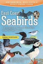 East Coast Seabirds