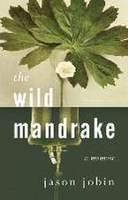 The Wild Mandrake