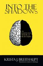 Into the Shadows: An Illustrated Memoir of Brain Injury