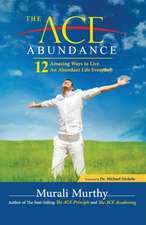 The Ace Abundance: 12 Amazing Ways to Live an Abundant Life Everyday