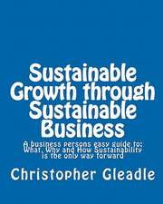 Sustainable Growth Through Sustainable Business