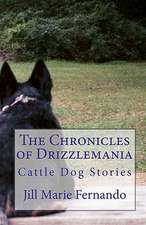 The Chronicles of Drizzlemania