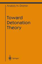 Toward Detonation Theory