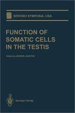 Function of Somatic Cells in the Testis