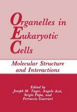 Organelles in Eukaryotic Cells