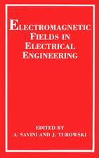 Electromagnetic Fields in Electrical Engineering