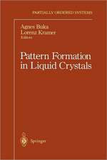 Pattern Formation in Liquid Crystals