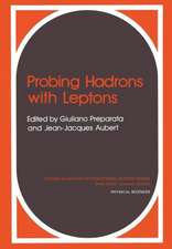 Probing Hadrons with Leptons