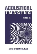 Acoustical Imaging