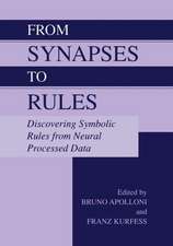 From Synapses to Rules: Discovering Symbolic Rules from Neural Processed Data