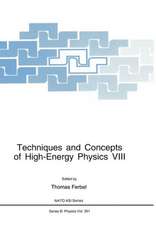 Techniques and Concepts of High-Energy Physics VIII