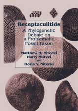 Receptaculitids: A Phylogenetic Debate on a Problematic Fossil Taxon