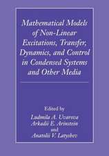 Mathematical Models of Non-Linear Excitations, Transfer, Dynamics, and Control in Condensed Systems and Other Media