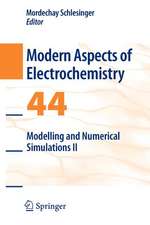 Modelling and Numerical Simulations II