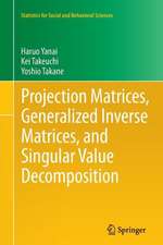 Projection Matrices, Generalized Inverse Matrices, and Singular Value Decomposition