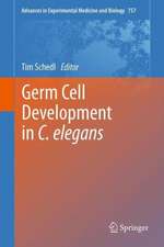 Germ Cell Development in C. elegans