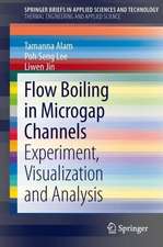 Flow Boiling in Microgap Channels: Experiment, Visualization and Analysis