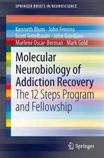 Molecular Neurobiology of Addiction Recovery: The 12 Steps Program and Fellowship