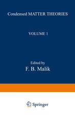 Condensed Matter Theories: Volume 1