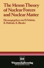 The Meson Theory of Nuclear Forces and Nuclear Matter: Scientific Report of the Conference Held at the Physics Center at Bad Honnef, June 12th – 14th 1979